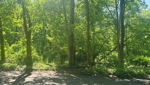 Homes for sale in Hamden, CT | 31 Bruschayt Dr, Hamden, CT 06518 | MLS# 24096910