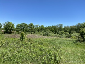 Homes for sale in Oxford, CT | Christian St, Oxford, CT 06478 | MLS# 24096996