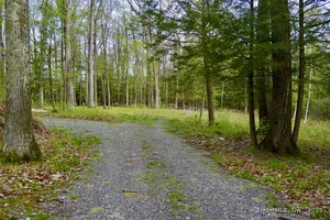 Homes for sale in Salisbury, CT | 77 Belgo Rd, Salisbury, CT 06039 | MLS# 24093476