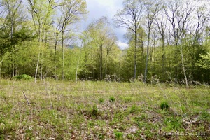 Homes for sale in Salisbury, CT | 77 Belgo Rd, Salisbury, CT 06039 | MLS# 24093476