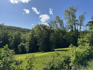 Homes for sale in Sherman, CT | Rte 39 South, State Rte, Sherman, CT 06784 | MLS# 24086099