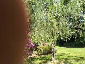 Homes for sale in Monroe, CT | 30 E Village Rd, Monroe, CT 06468 | MLS# 24097289