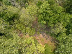 Homes for sale in Ridgefield, CT | S Salem Rd, Ridgefield, CT 06877 | MLS# 24077055