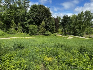 Homes for sale in Salisbury, CT | 14 Red Mountain Rd, Salisbury, CT 06039 | MLS# 24076003