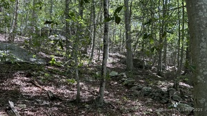 Homes for sale in East Haddam, CT | Norwich Salem Rd, East Haddam, CT 06423 | MLS# 24099662