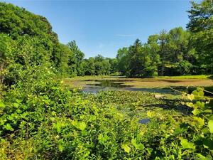 Homes for sale in Madison, CT | 728 Durham Rd, Madison, CT 06443 | MLS# 24100050