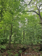 Homes for sale in Hamden, CT | 516 Gilbert ( Rear) Ave, Hamden, CT 06514 | MLS# 24099945