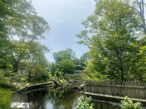 Homes for sale in Waterford, CT | 5 Wilcox Ct, Waterford, CT 06385 | MLS# 24098580