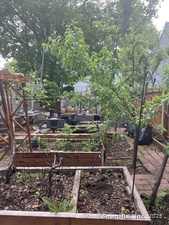 Homes for sale in Meriden, CT | 66 S 3rd St, Meriden, CT 06451 | MLS# 24100998