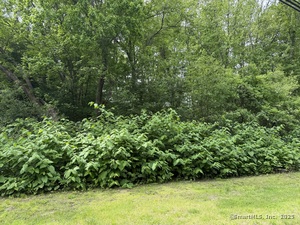 Homes for sale in Plymouth, CT | 2 Sandra Ave, Plymouth, CT 06786 | MLS# 24101387