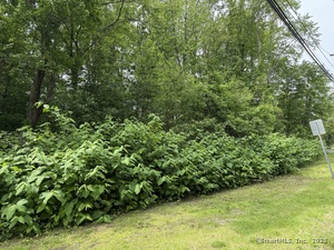 Homes for sale in Plymouth, CT | 2 Sandra Ave, Plymouth, CT 06786 | MLS# 24101387