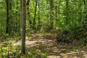 Homes for sale in Barkhamsted, CT | 13 Dew Rd, Barkhamsted, CT 06063 | MLS# 24101612