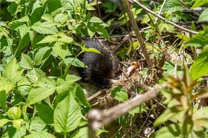 Homes for sale in Barkhamsted, CT | 13 Dew Rd, Barkhamsted, CT 06063 | MLS# 24101612