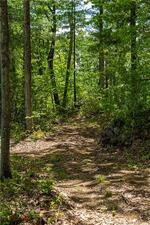 Homes for sale in Barkhamsted, CT | 13 Dew Rd, Barkhamsted, CT 06063 | MLS# 24101612