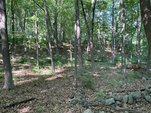 Homes for sale in Redding, CT | 176 Picketts Ridge Rd, Redding, CT 06896 | MLS# 24101831