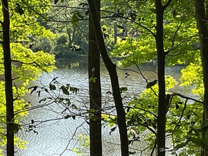 Homes for sale in Redding, CT | 176 Picketts Ridge Rd, Redding, CT 06896 | MLS# 24101831