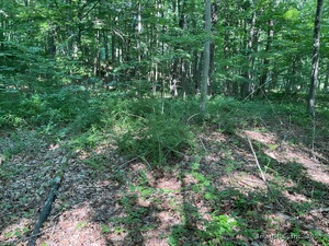 Homes for sale in Redding, CT | 176 Picketts Ridge Rd, Redding, CT 06896 | MLS# 24101831