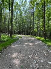 Homes for sale in Roxbury, CT | Lot 4 Chalybes Rd W, Roxbury, CT 06783 | MLS# 24087087