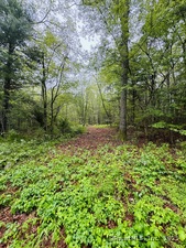 Homes for sale in Sterling, CT | 18 Ledge Hill Rd, Sterling, CT 06377 | MLS# 24094322