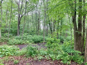 Homes for sale in Lebanon, CT | Kellys Cor, Lebanon, CT 06249 | MLS# 24102771