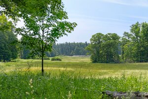 Homes for sale in Salisbury, CT | 77 Beaver Dam Rd, Salisbury, CT 06068 | MLS# 24103122