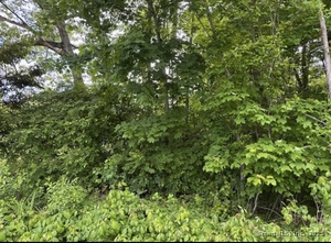 Homes for sale in Norwich, CT | 230 Vergason Ave, Norwich, CT 06360 | MLS# 24097864