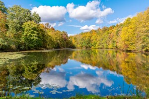 Homes for sale in Ashford, CT | 66 Bebbington Rd, Ashford, CT 06278 | MLS# 24101226