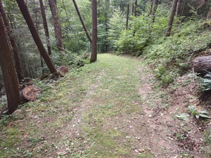 Homes for sale in Cornwall, CT | Railroad St, Cornwall, CT 06753 | MLS# 24089924