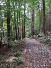 Homes for sale in Cornwall, CT | Railroad St, Cornwall, CT 06753 | MLS# 24089924