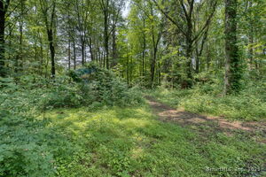 Homes for sale in Berlin, CT | 600 Edgewood Rd, Berlin, CT 06037 | MLS# 24104281