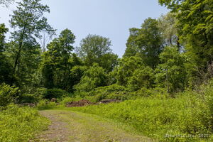 Homes for sale in Berlin, CT | Edgewood Rd, Berlin, CT 06037 | MLS# 24104288