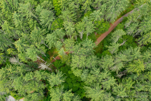 Homes for sale in Cornwall, CT | 50 Popple Swamp Rd, Cornwall, CT 06754 | MLS# 24104591