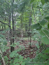 Homes for sale in Marlborough, CT | Chapman Rd, Marlborough, CT 06447 | MLS# 24104312