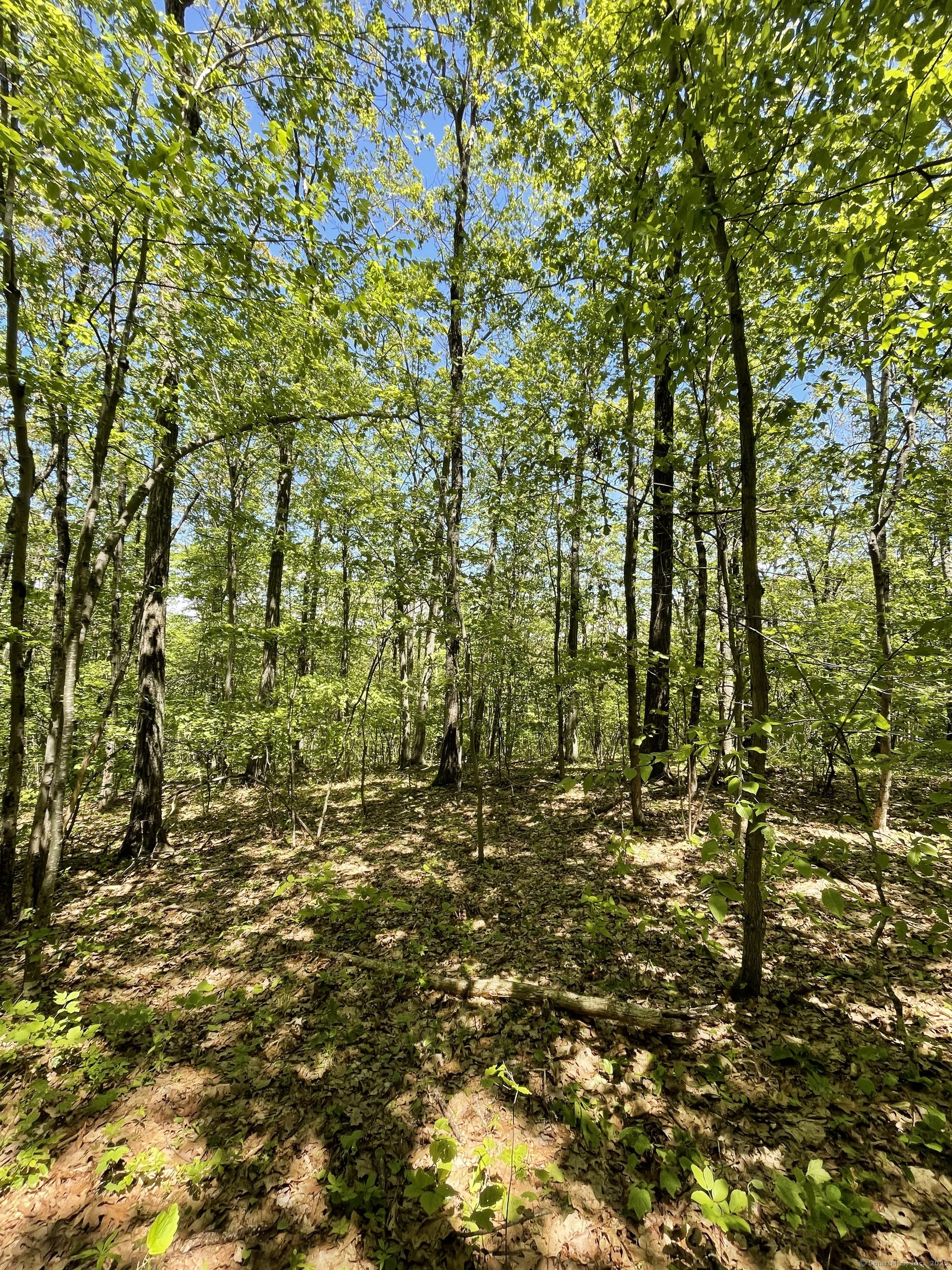 Homes for sale in Millerton, NY | 710 Smithfield Rd, Millerton, NY 12546 | MLS# 24105729