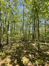 Homes for sale in Millerton, NY | 710 Smithfield Rd, Millerton, NY 12546 | MLS# 24105729