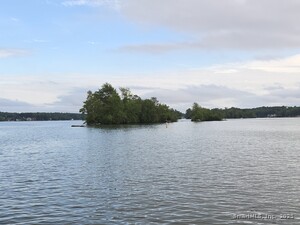 Homes for sale in East Hampton, CT | Island, East Hampton, CT 06424 | MLS# 24106398