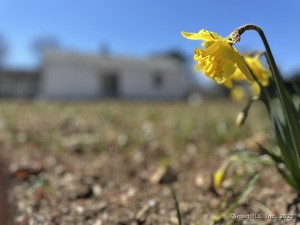 Homes for sale in Milford, CT | 26 Riverdale Rd, Milford, CT 06460 | MLS# 24106564