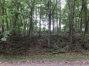 Homes for sale in Plymouth, CT | 21 Coral Dr, Plymouth, CT 06786 | MLS# 24081801