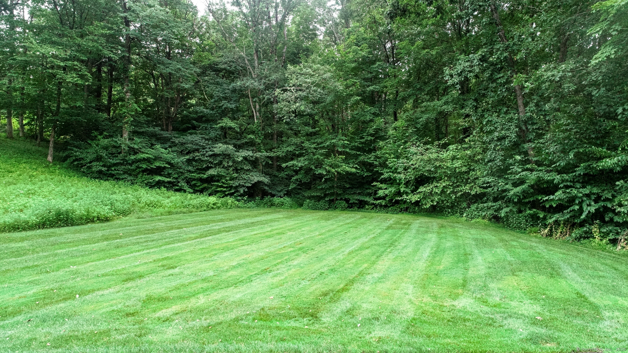 25 Sky View, Avon, 06001, 5 Bedrooms Bedrooms, ,3 BathroomsBathrooms,Single Family For Sale,For Sale,Sky View,24104888