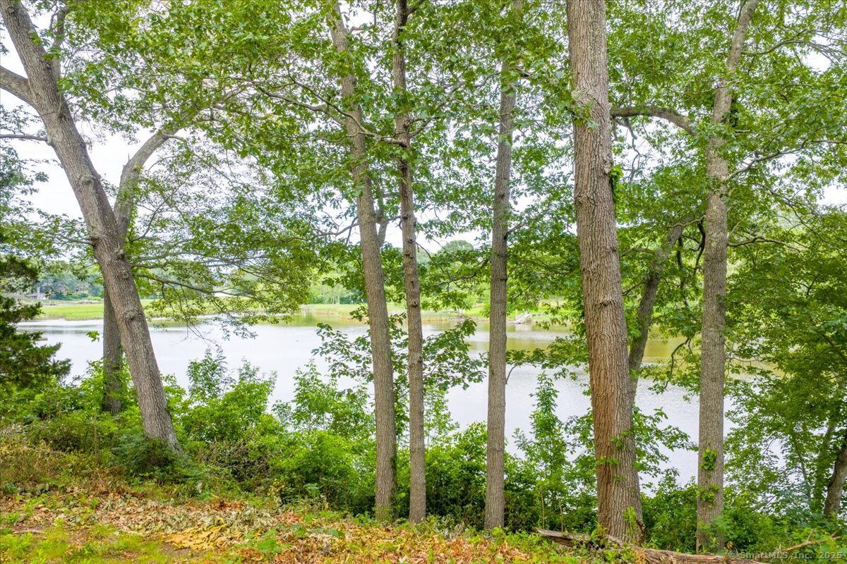 41B River, Essex, 06426, ,Lots And Land For Sale,For Sale,River,24107841