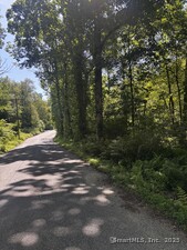 Homes for sale in Hampton, CT | Drain St, Hampton, CT 06427 | MLS# 24109006