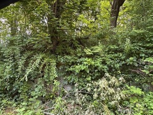 Homes for sale in Norwich, CT | 125 Talman St, Norwich, CT 06360 | MLS# 24101179