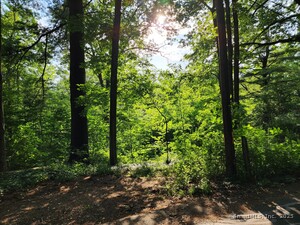 Homes for sale in Avon, CT | 30 Cliff Dr, Avon, CT 06001 | MLS# 24109066