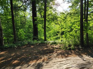 Homes for sale in Avon, CT | 30 Cliff Dr, Avon, CT 06001 | MLS# 24109066