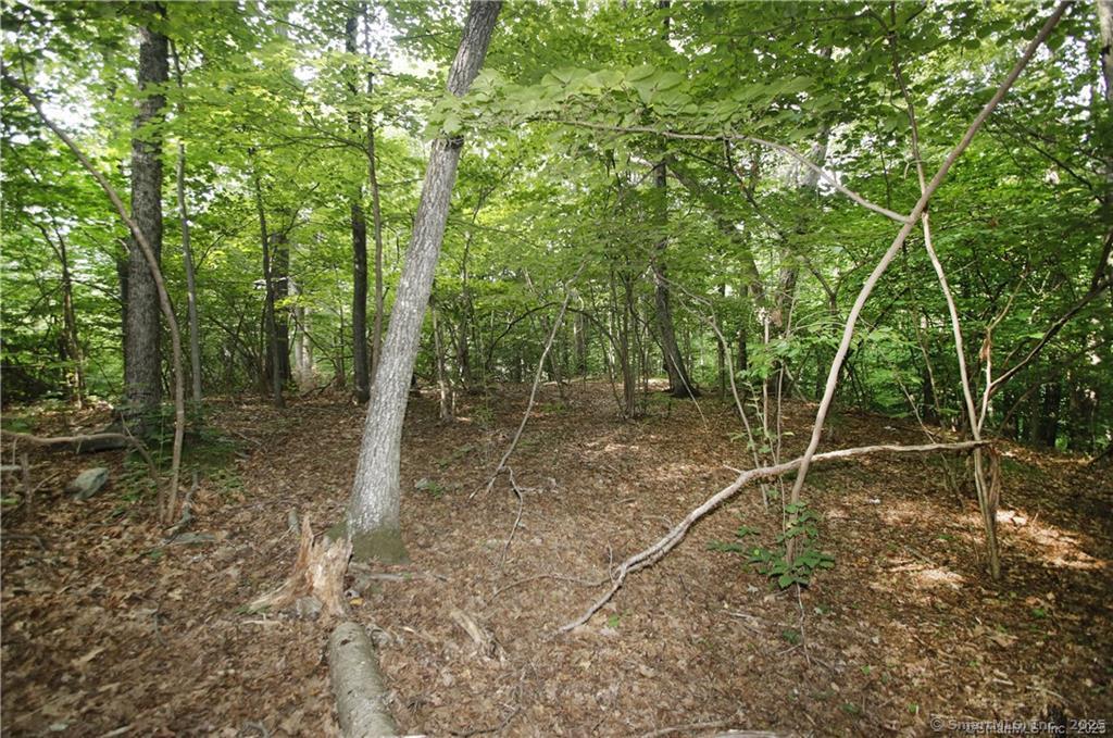 9A Oak Ridge, Newtown, 06470, ,Lots And Land For Sale,For Sale,Oak Ridge,24109791