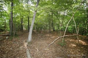 Homes for sale in Newtown, CT | 9a Oak Ridge Dr, Newtown, CT 06470 | MLS# 24109791