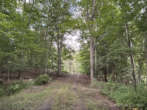 Homes for sale in Sprague, CT | 78 Salt Rock Rd, Sprague, CT 06330 | MLS# 24109857