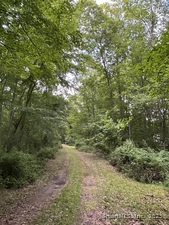 Homes for sale in Sprague, CT | 78 Salt Rock Rd, Sprague, CT 06330 | MLS# 24109857