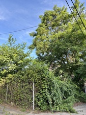 Homes for sale in Bridgeport, CT | 90 Lee Ave, Bridgeport, CT 06605 | MLS# 24110202