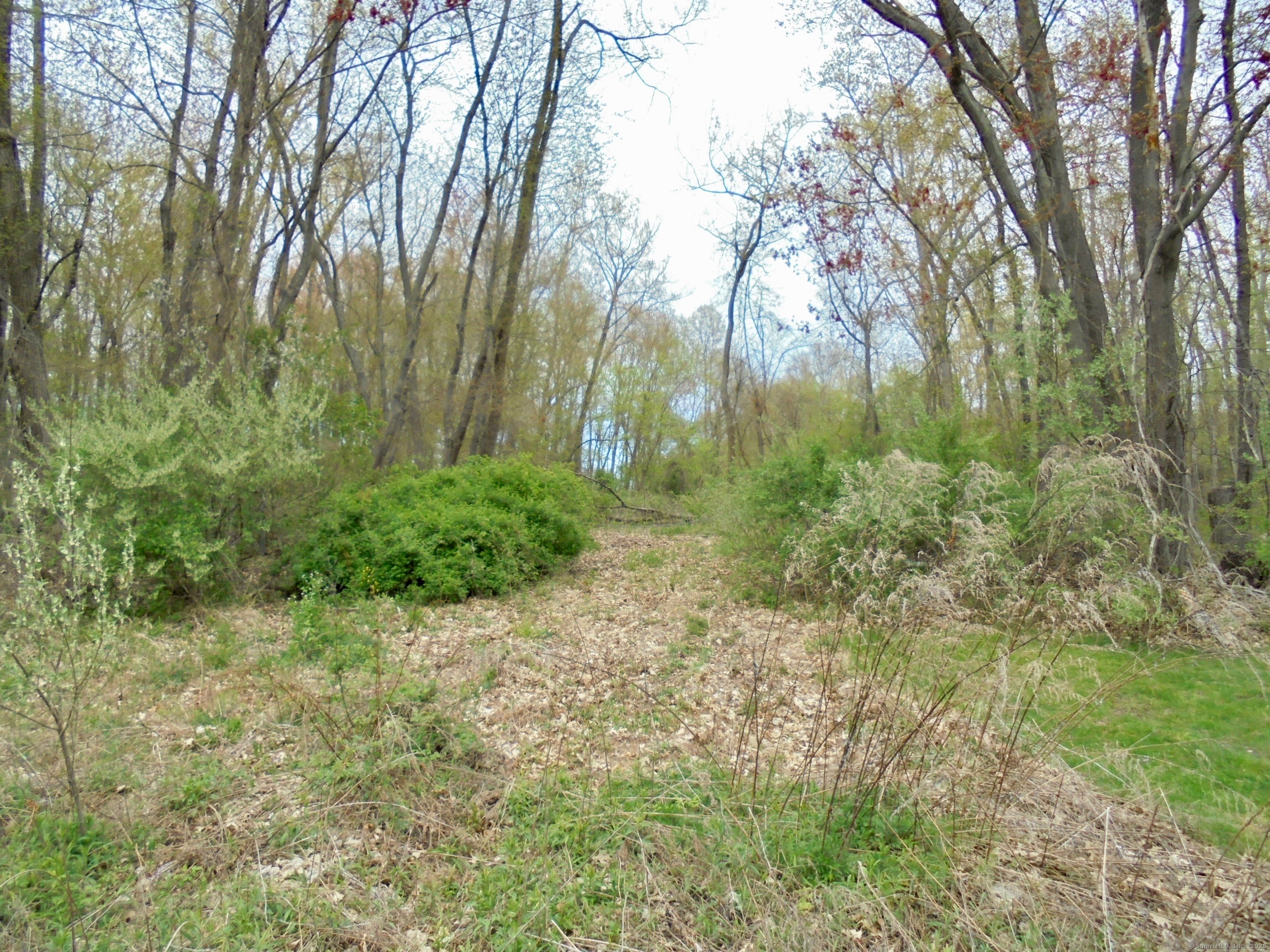 1769 Tolland, Manchester, 06042, ,Lots And Land For Sale,For Sale,Tolland,24110643
